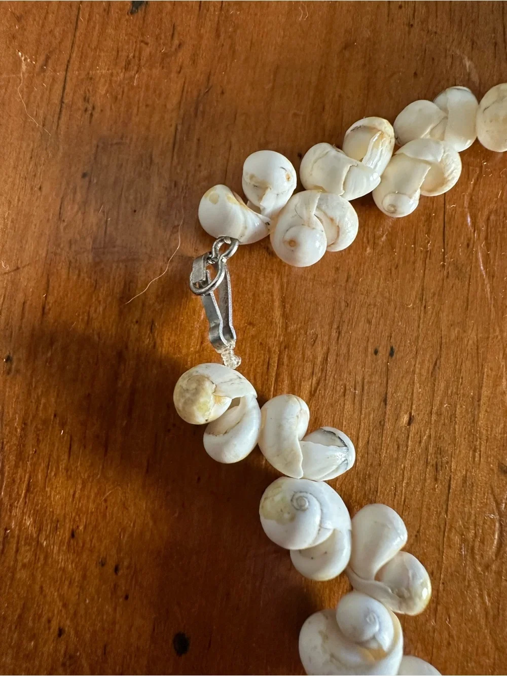 Bold Ocean Shell Necklace